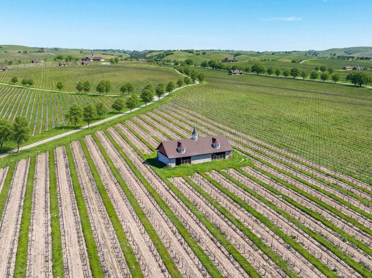 Windfall Farms, a 700-plus acre vineyard and equestrian property in Paso Robes went up for bid on Aug. 5, 2026.